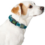 Hunter Collar Hilo Vario Basic Turquoise - Collares para Perros