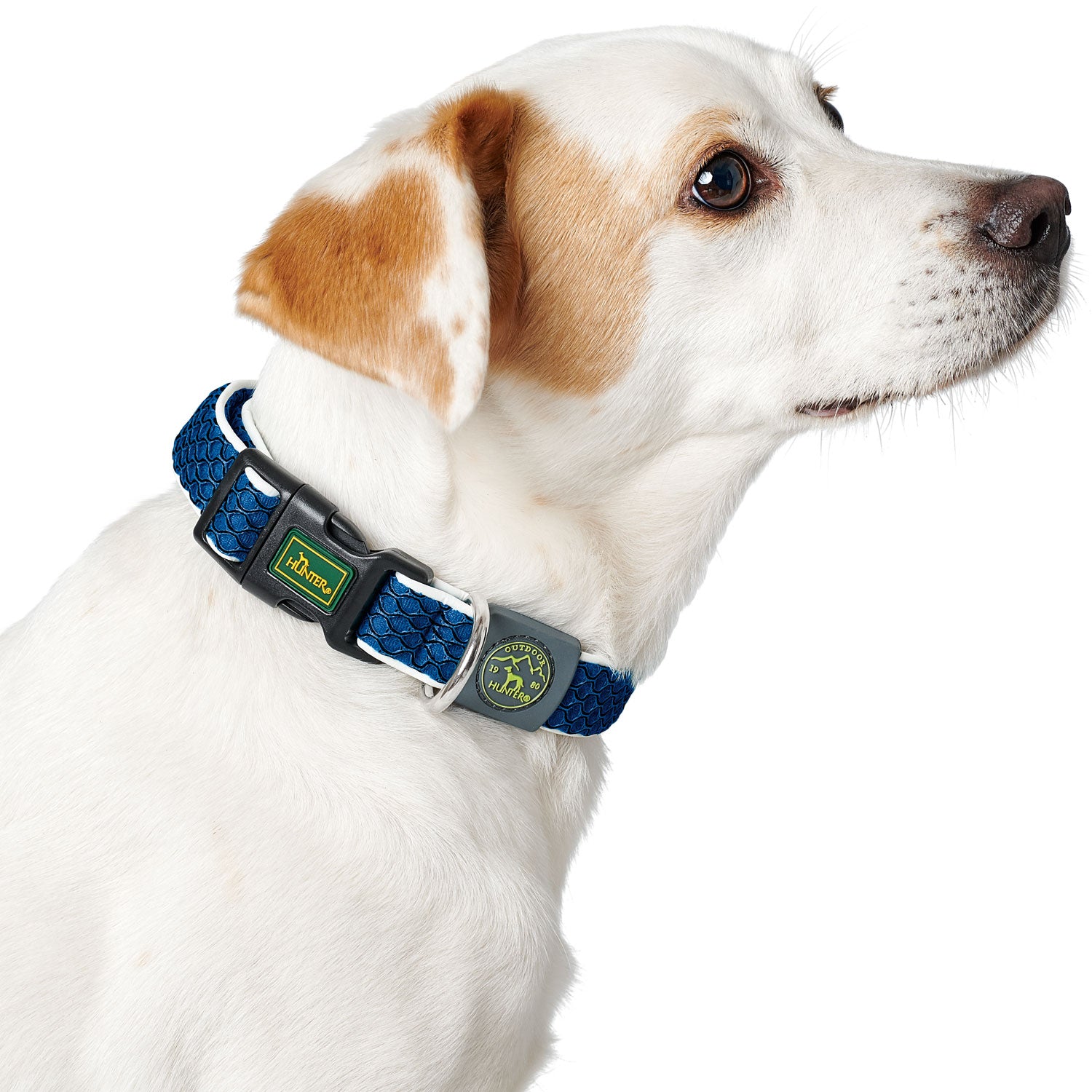 Hunter Collar Hilo Vario Plus Blue L-XL - Collares para Perros