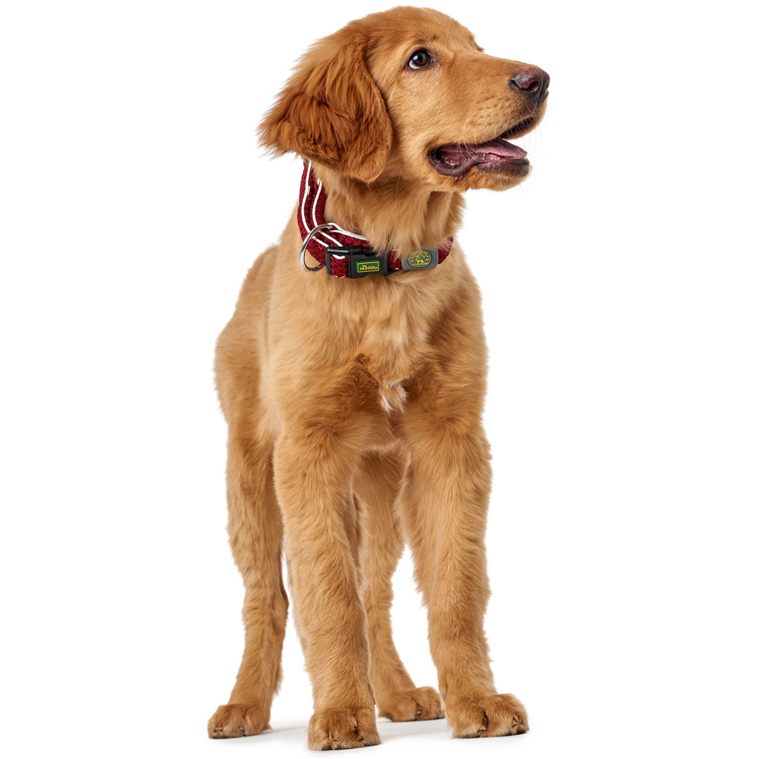 Hunter Collar Hilo Vario Plus Red L-XL - Collares para Perros