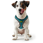 Hunter Harness Hilo Comfort Turquoise - Arnés para Perros
