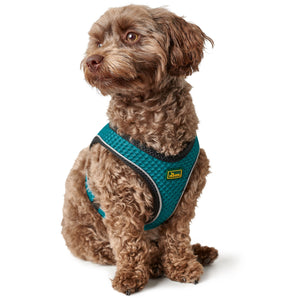 Hunter Harness Hilo Comfort Turquoise - Arnés para Perros