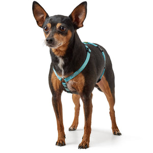 Hunter Harness Tripoli Light Pink - Arnés para Perros