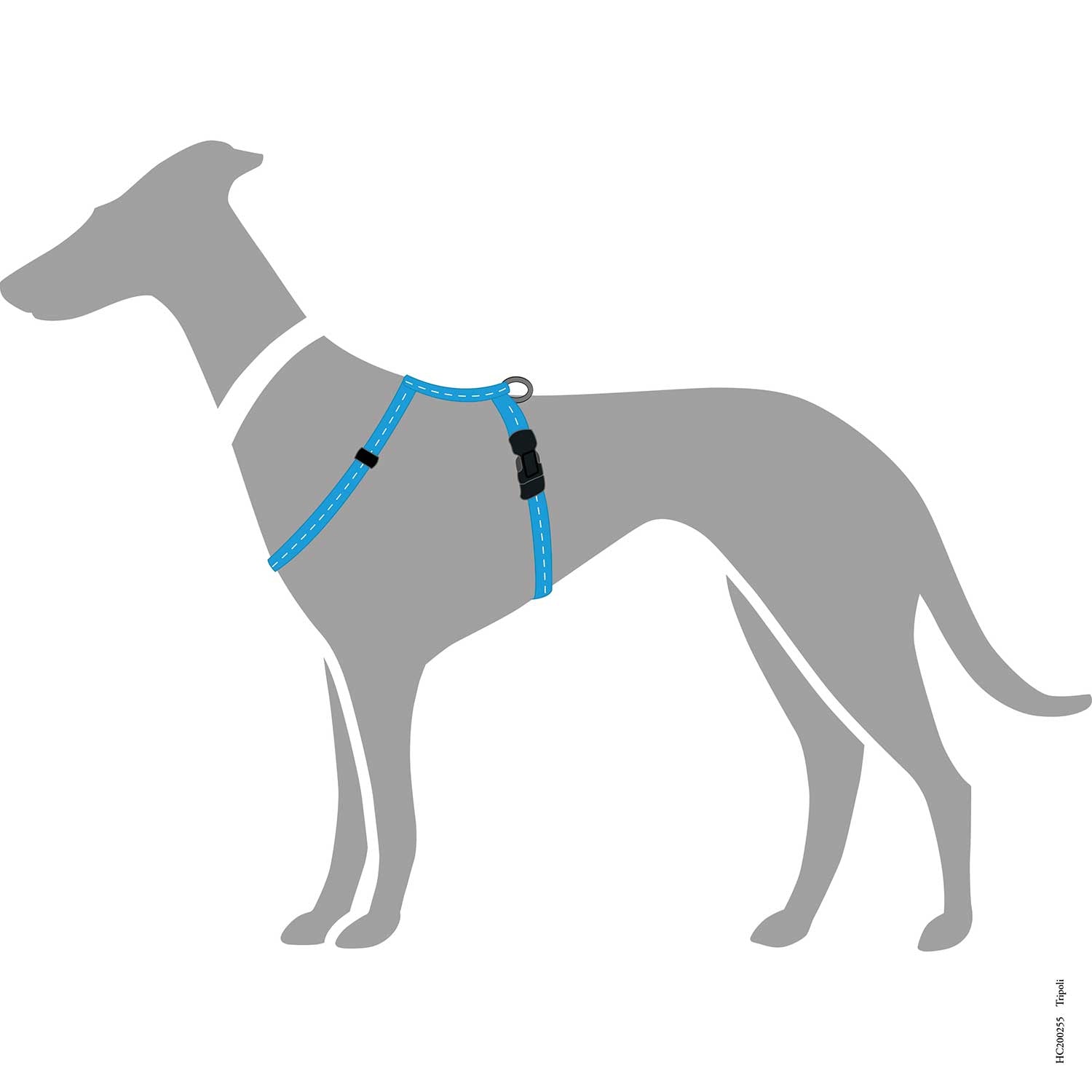 Hunter Harness Tripoli Light Blue - Arnés para Perros