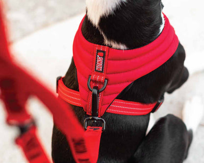 Kong Arnés Comfort Rojo - Arnés para Perros