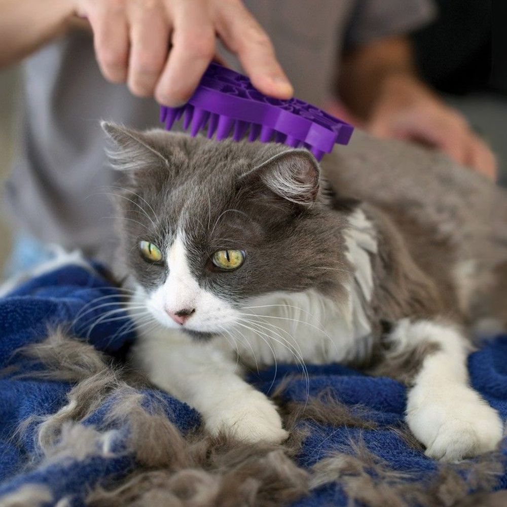 Kong Cat ZoomGroom - Cepillos para Gatos