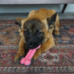 Kong ChewStix Puppy Curve Bone Medium - Juguetes para Perros