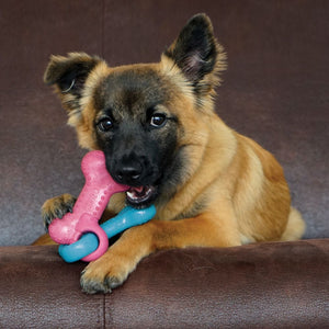 Kong ChewStix Puppy Link Bone Medium - Juguetes para Perros