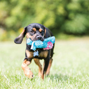 Kong Cozie Buster Koala Medium - Juguetes para Perros