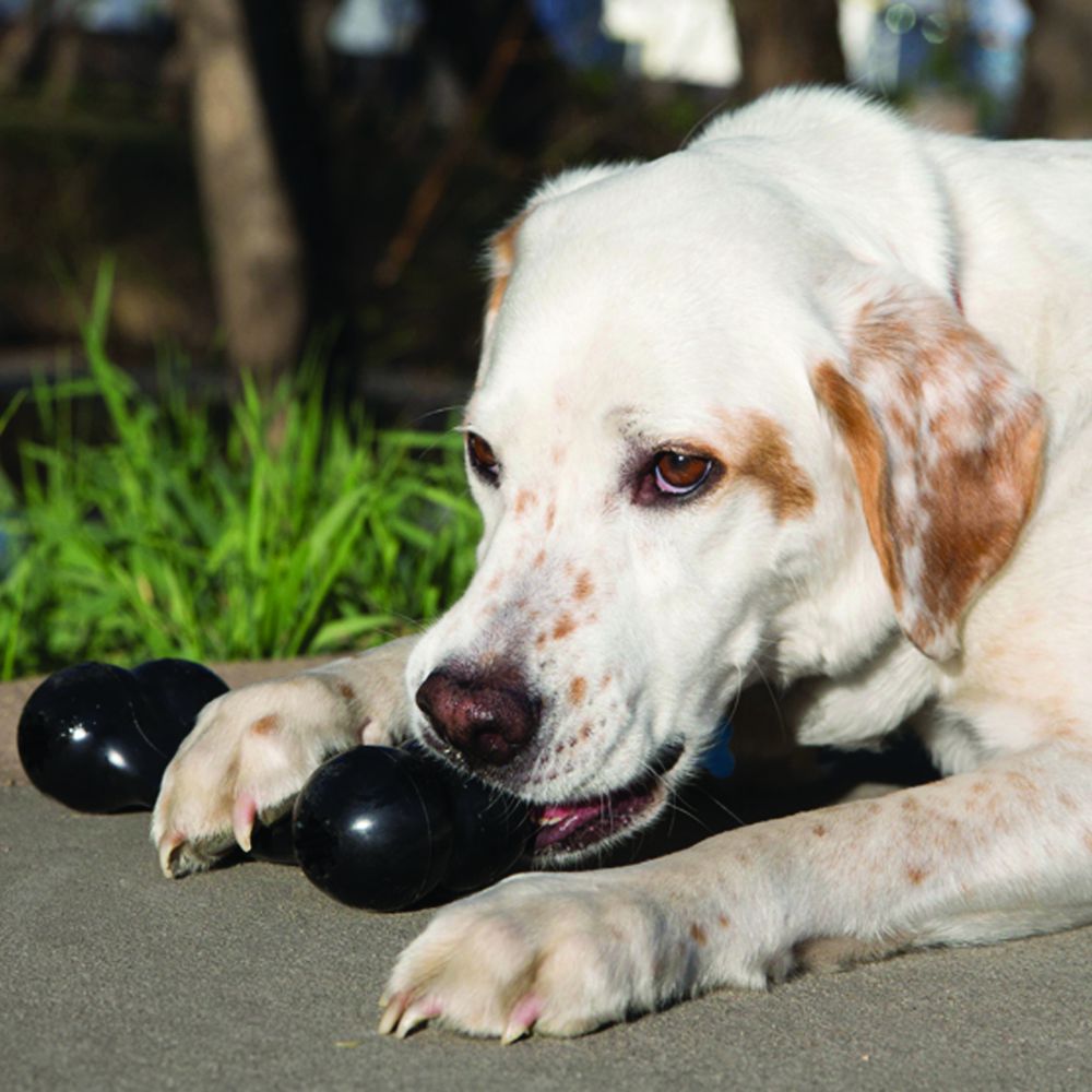 Kong Extreme Goodie Bone - Juguetes para Perros