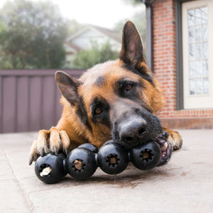 Kong Extreme Goodie Ribbon Large - Juguetes para Perros
