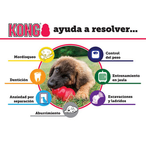 Kong Puppy - Juguetes para Perros