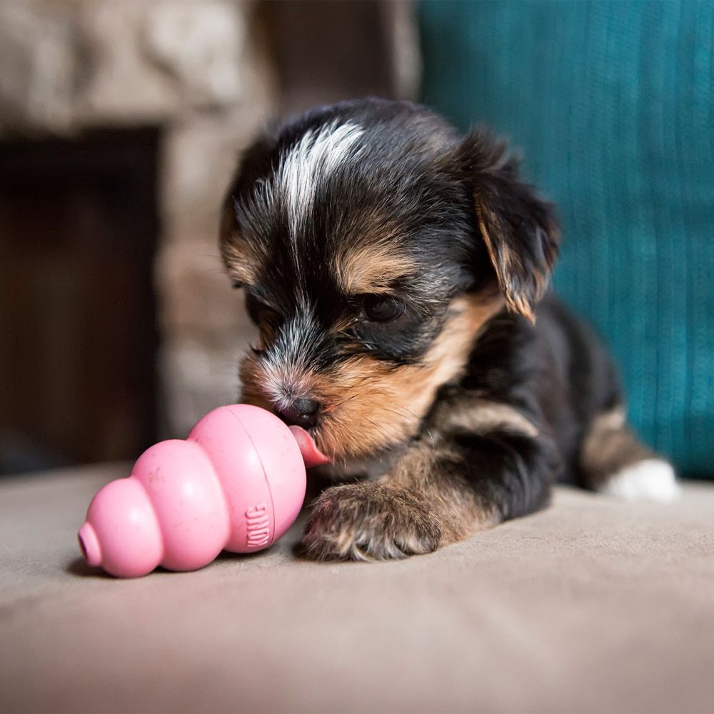 Kong Puppy - Juguetes para Perros