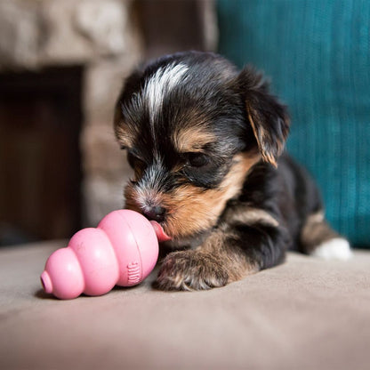 Kong Puppy - Juguetes para Perros