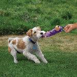 Kong Tugger Knots Frog - Juguetes para Perros