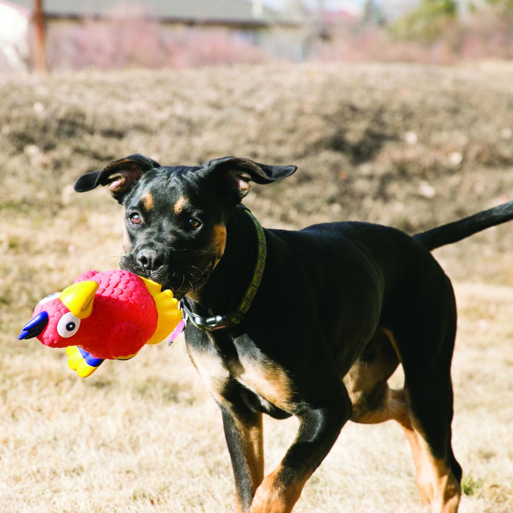 Kong Wiggi Giraffe Small - Juguetes para Perros