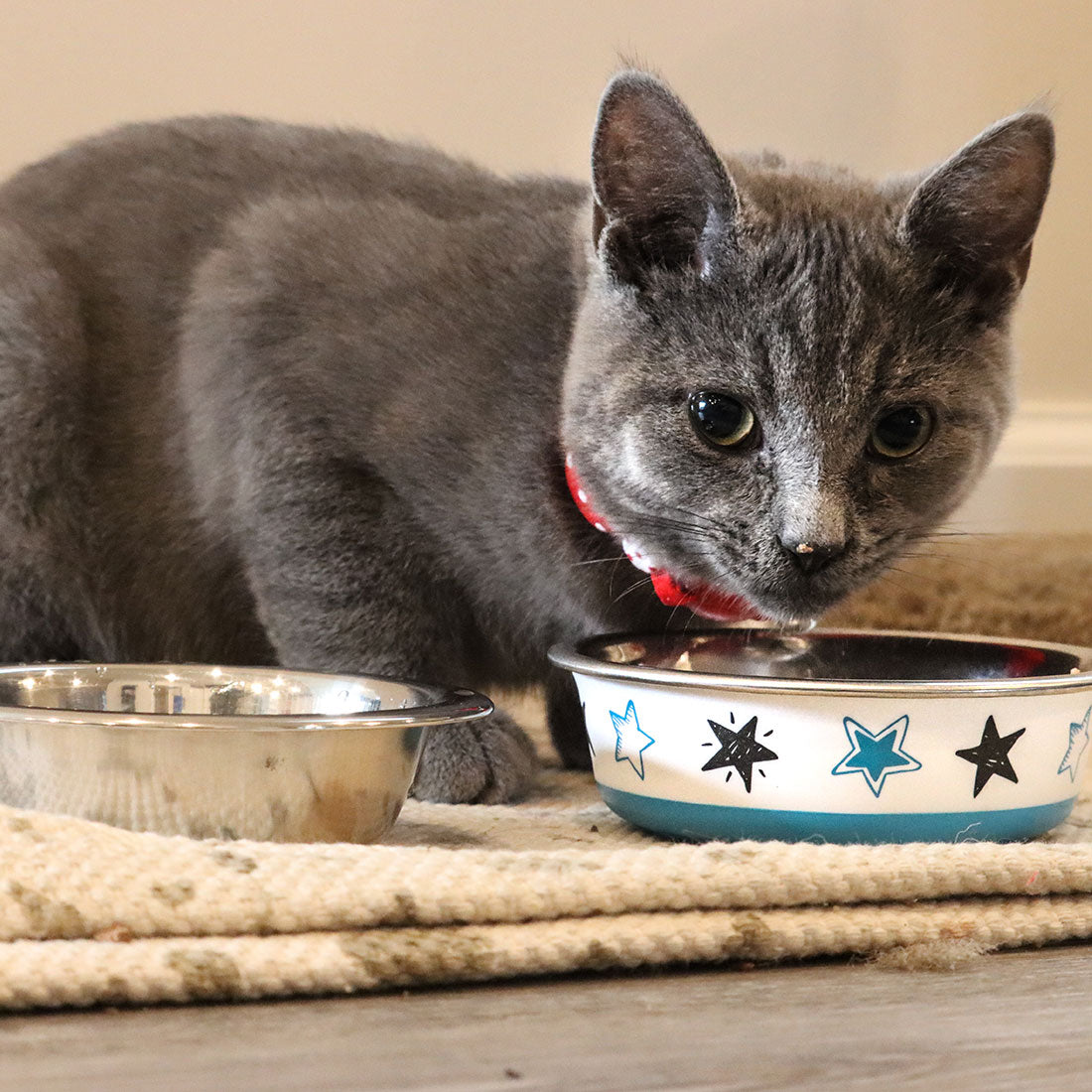 Maslow Design Stars White/Blue - Comederos para Gatos