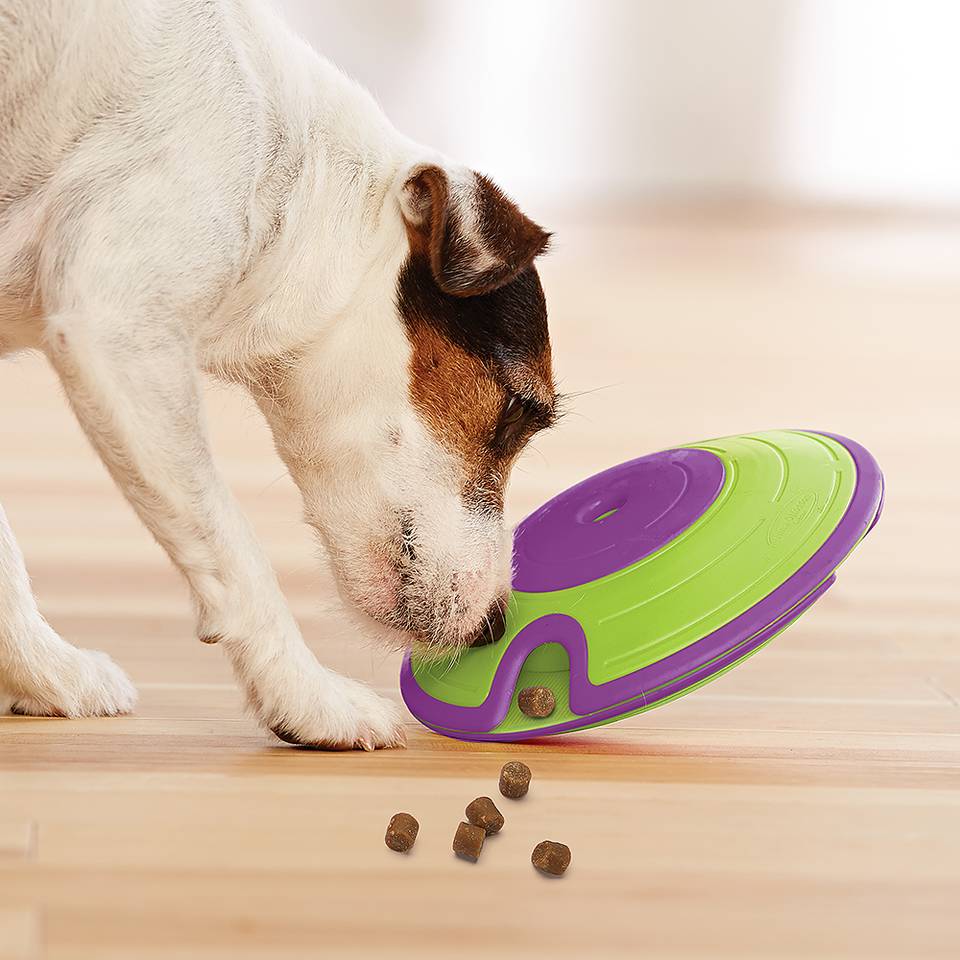 Nina Ottosson Dog Treat Maze Nivel 2 - Juegos de Inteligencia para Perros