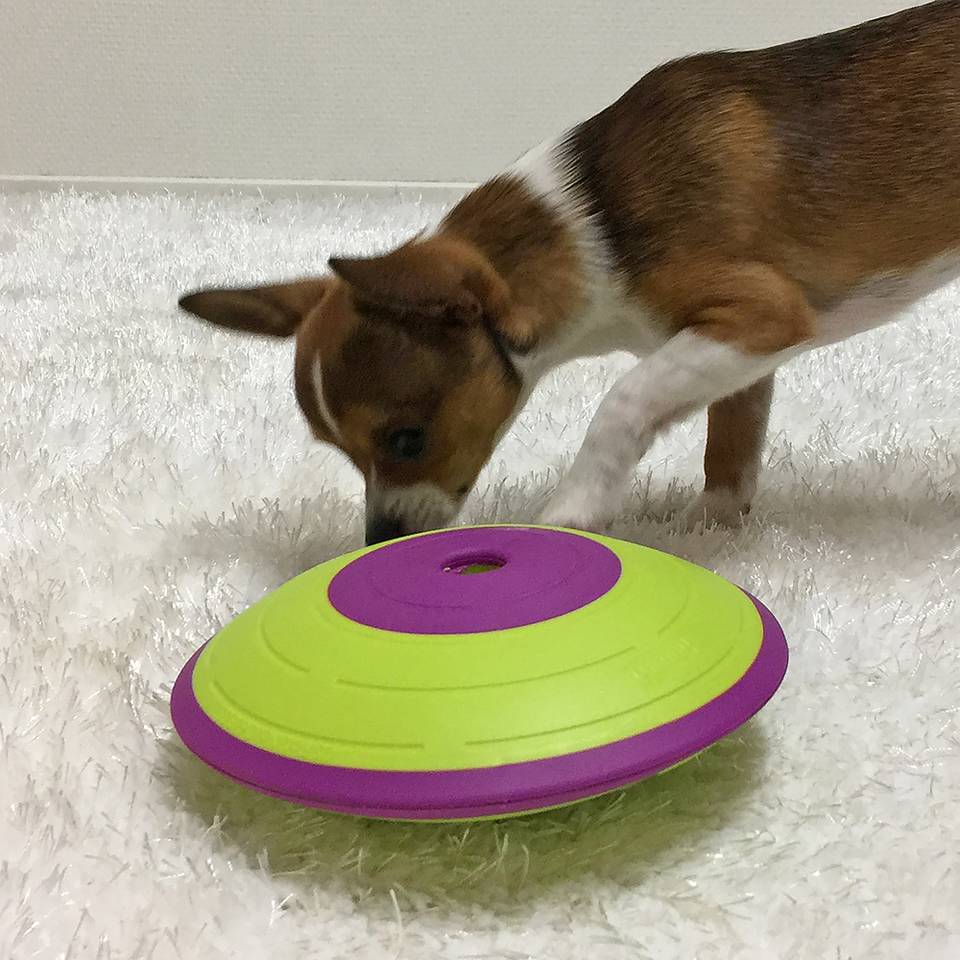 Nina Ottosson Dog Treat Maze Nivel 2 - Juegos de Inteligencia para Perros