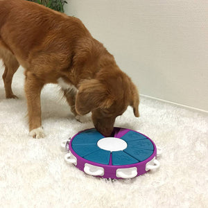 Nina Ottosson Dog Twister Nivel 3 - Juegos de Inteligencia para Gatos