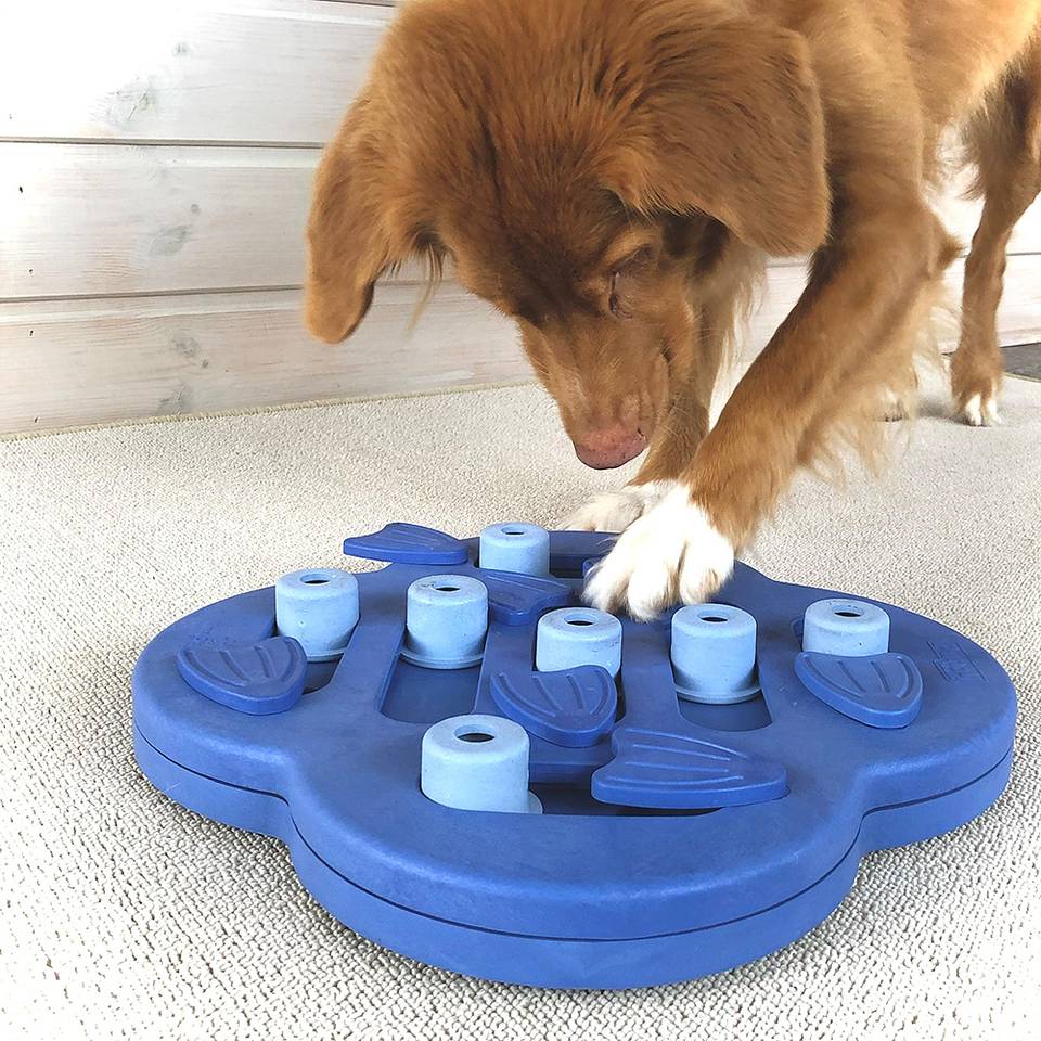 Nina Ottosson Hide N' Slide Nivel 2 - Juegos de Inteligencia para Perros