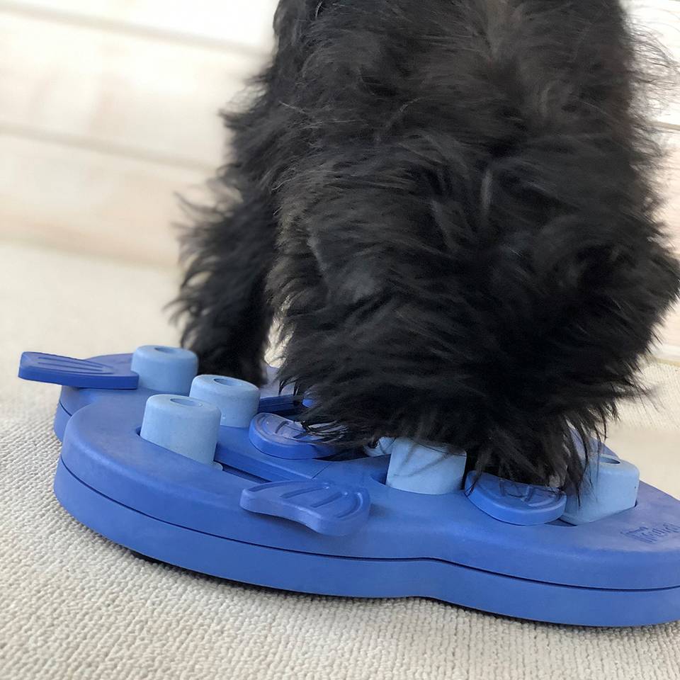 Nina Ottosson Hide N' Slide Nivel 2 - Juegos de Inteligencia para Perros