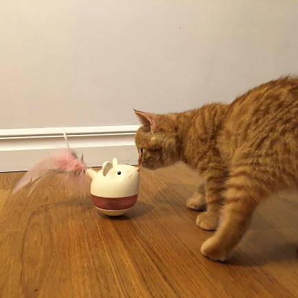 Nina Ottosson Hunt 'N Swat Treat Tumbler Nivel 1 - Juegos de Inteligencia para Gatos