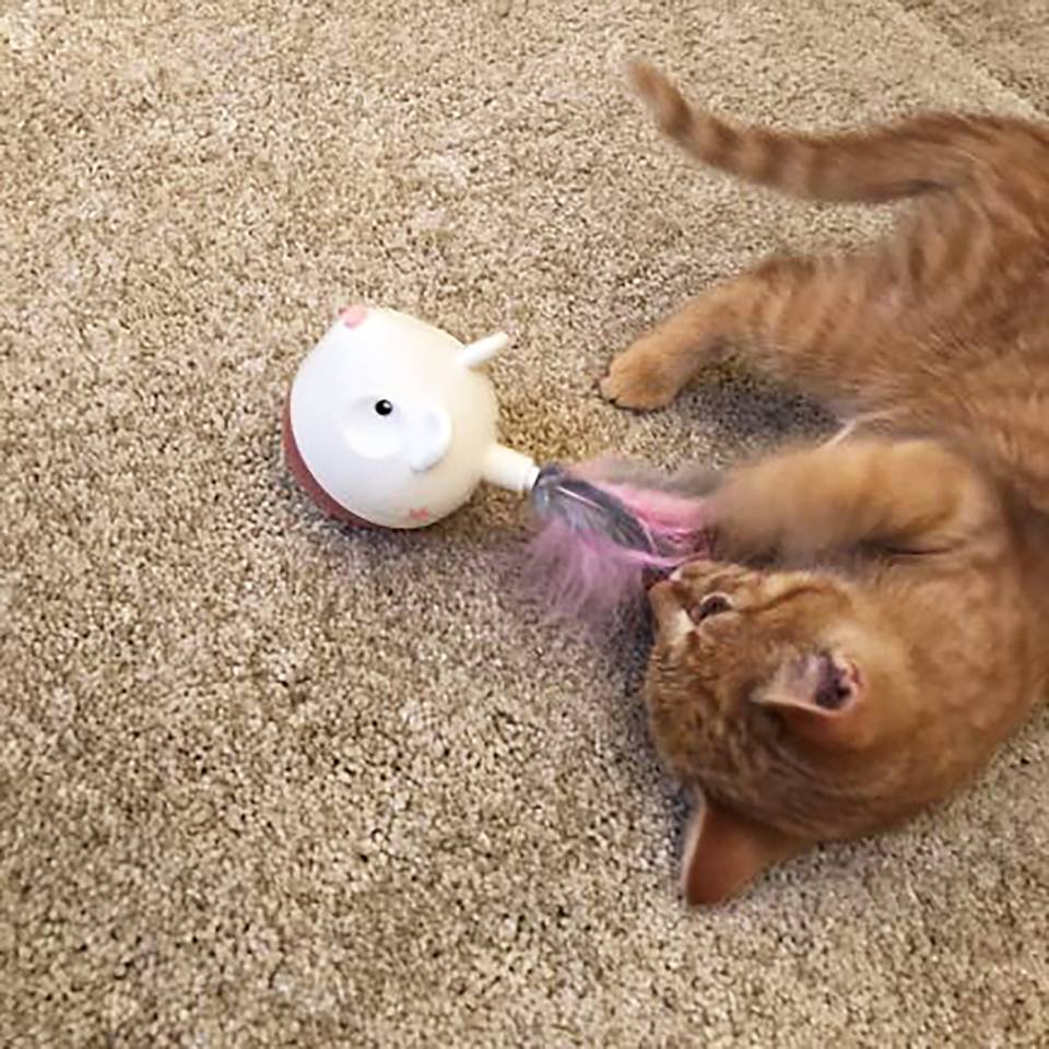 Nina Ottosson Hunt 'N Swat Treat Tumbler Nivel 1 - Juegos de Inteligencia para Gatos