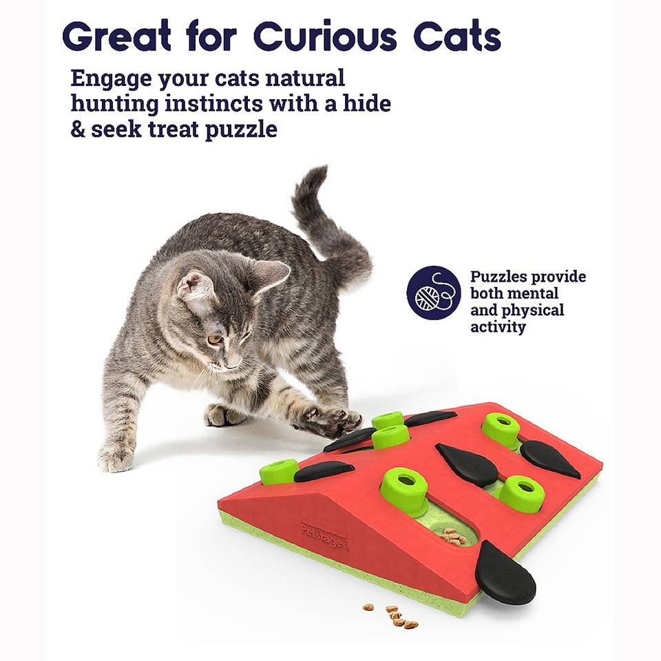 Nina Ottosson Melon Madness Puzzle and Play Nivel 2 - Juegos de Inteligencia para Gatos