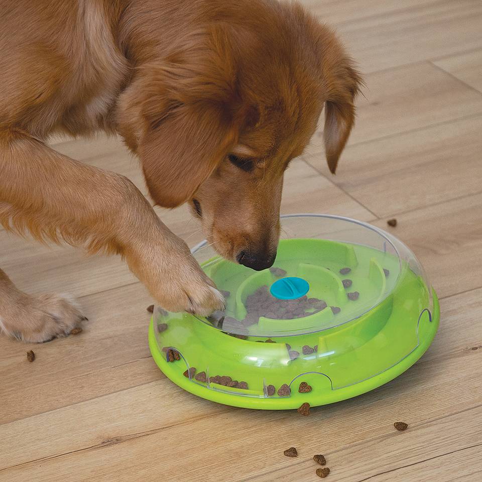 Nina Ottosson Wobble Bowl Nivel 1 - Juegos de Inteligencia para Perros