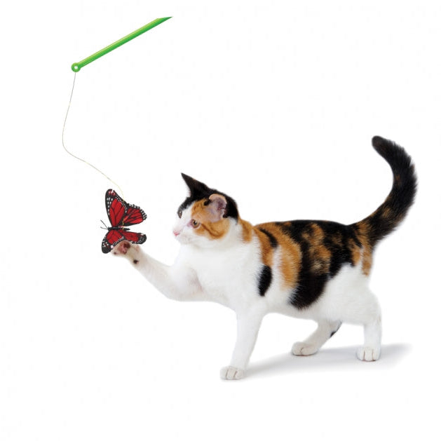 Petstages Butterfly Chase Wand - Juguetes para Gatos