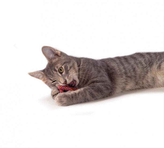 Petstages Catnip Plaque Away Pretzel - Juguetes para Gatos