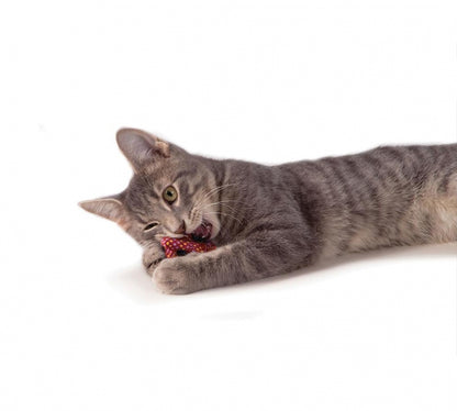 Petstages Catnip Plaque Away Pretzel - Juguetes para Gatos