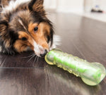 Petstages Crunchcore Bone - Juguetes para Perro a domicilio en Bogotá