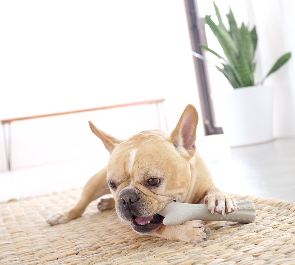 Petstages Deerhorn - Juguetes para Perros