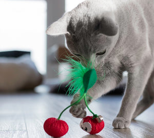 Petstages Dental Cherries - Juguetes para Gatos