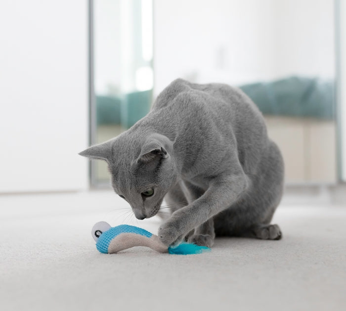 Petstages Dental Shrimpies - Juguetes para Gatos