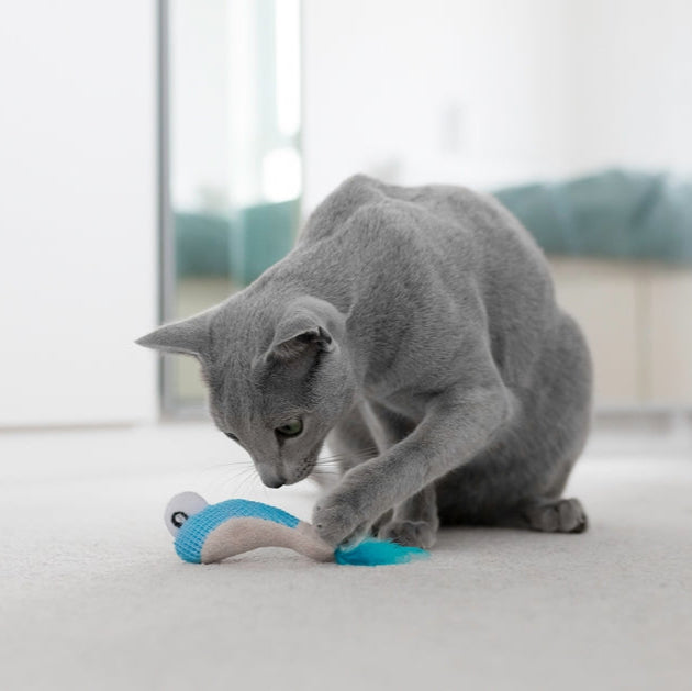 Petstages Dental Shrimpies - Juguetes para Gatos