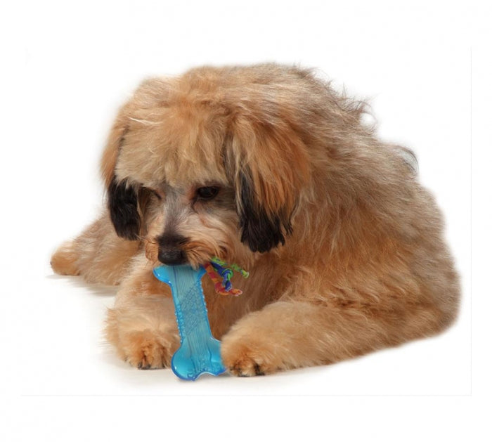Petstages Mini Orka Bone - Juguetes para Perros