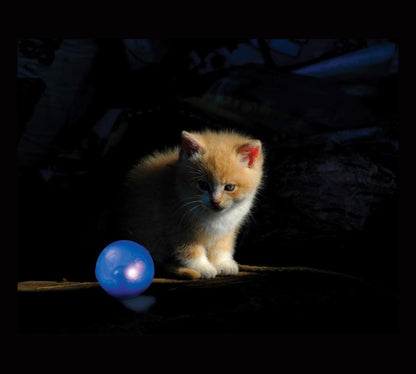 Petstages Twinkle Ball - Juguetes para Gatos