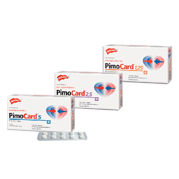 Pimocard - Medicamentos para Perros
