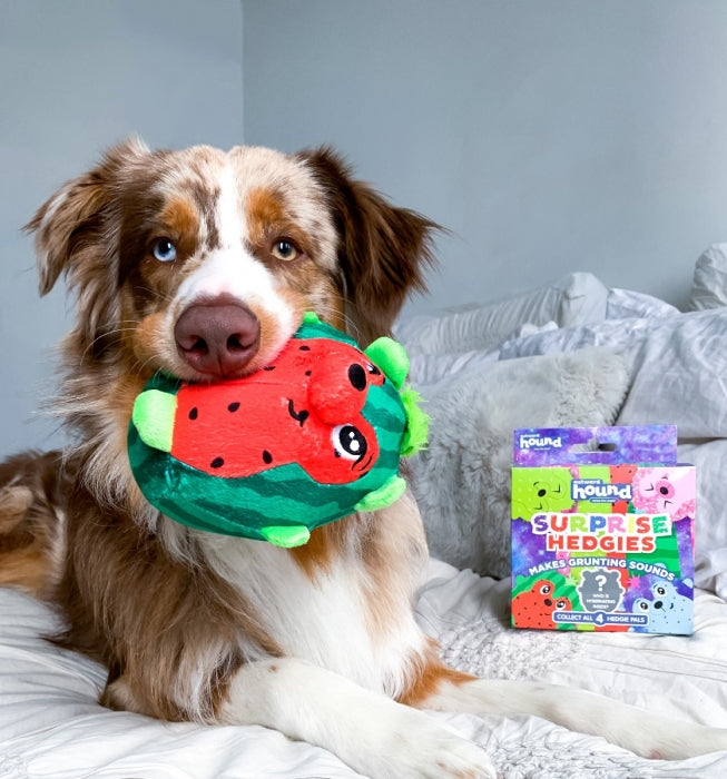 Surprise Hedgies Plush - Juguetes para Perros