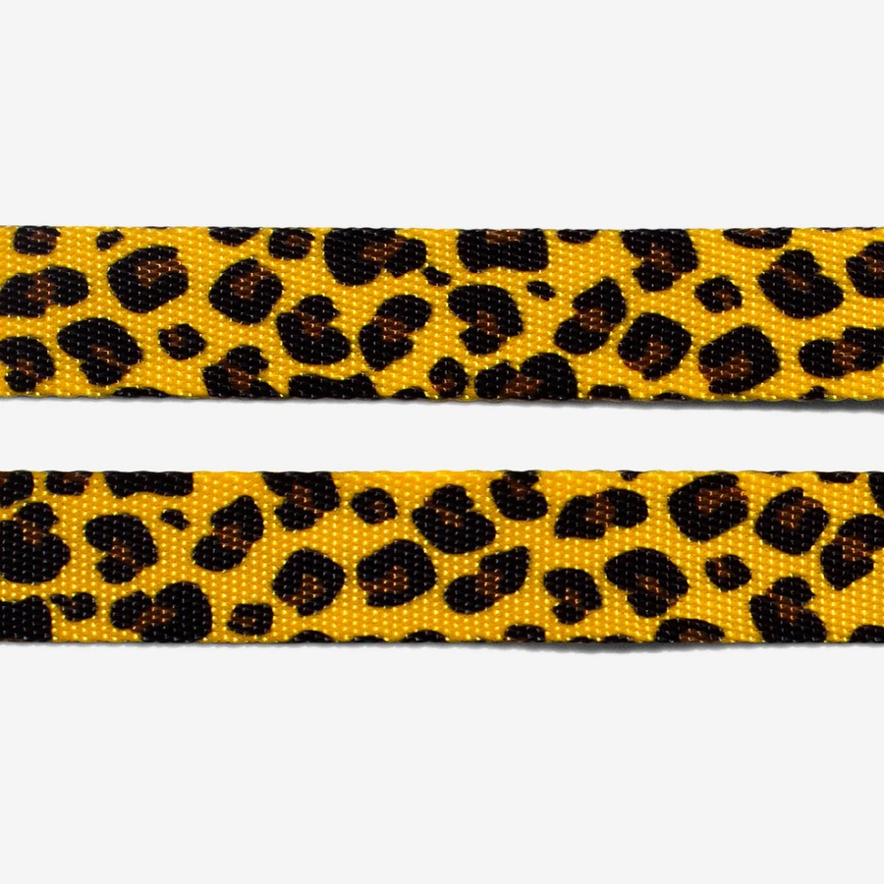 Zee.Dog Collar Honey - Collares para Perros