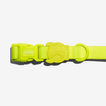 Zee.Dog Collar NeoPro Lime - Collares para Perros
