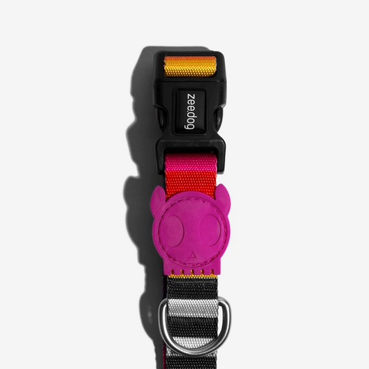 Zee.Dog Collar Prisma - Collares para Perros