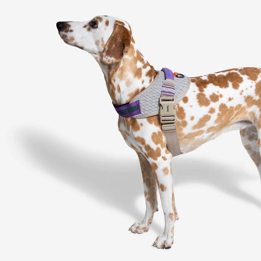 Zee.Dog FlyHarness ACG - Arnés para Perros