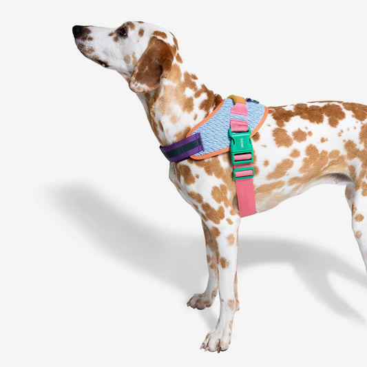 Zee.Dog FlyHarness Galaxy - Arnés para Perros