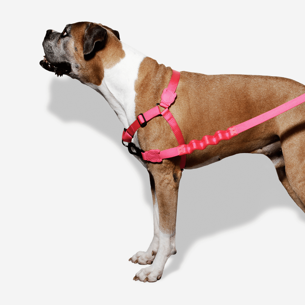 Zee.Dog Soft-Walk Harness Pink Led - Arnés para Perros