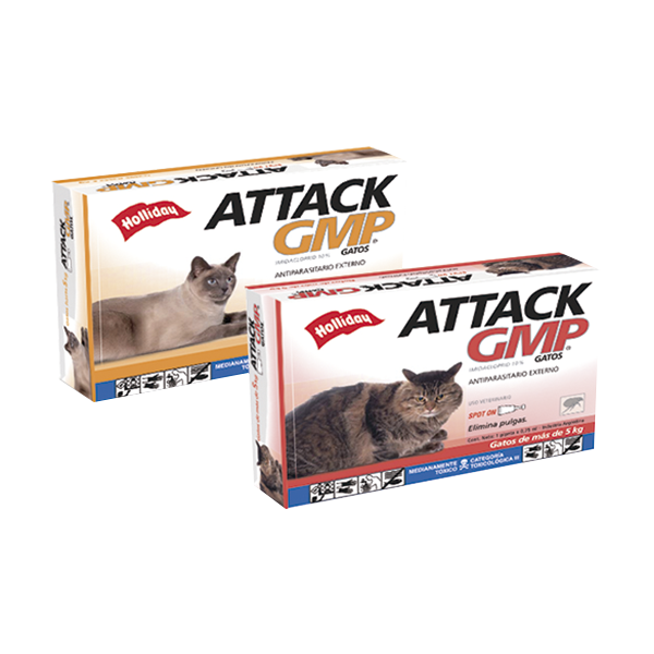 Attack Gatos GMP - Antipulgas y Garrapatas para Gatos