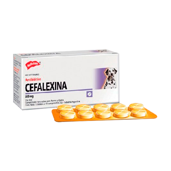 Cefalexina (500 Comprimidos) - Medicamentos para Perros