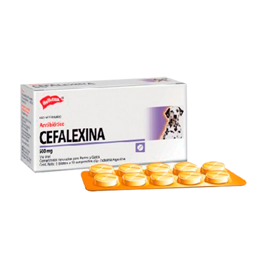 Cefalexina (500 Comprimidos) - Medicamentos para Perros